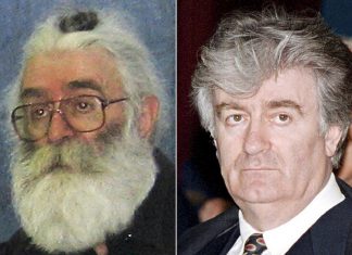 Karadžić