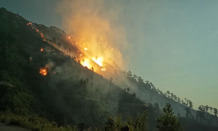 1629618242 Konjic Pozar Zvekusa