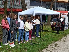 Godišnjica Bilinopoljske Izjave