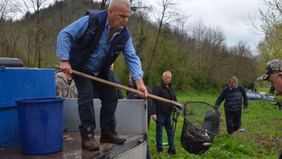 Poribljavanje rijeka Bosne i Stavnje