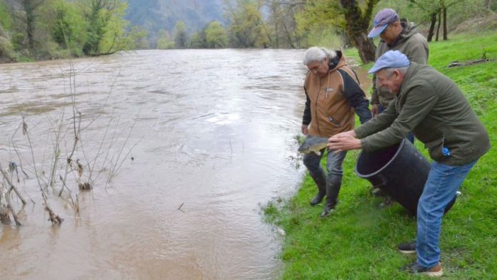 Poribljavanje rijeka Bosne i Stavnje