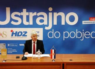 HDZ BIH Dragan Covic