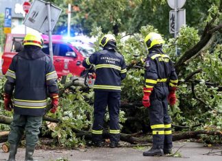 Drveće Po Ulicama I Autima U Zagrebu