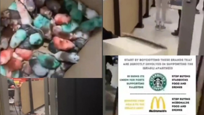 Propalestinski Aktivista U McDonalds U Engleskoj Ispustio Hrpu Miševa I Napravio Haos