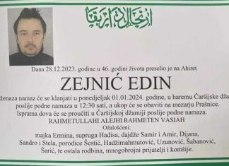 Zejnić Edin Smtovnica