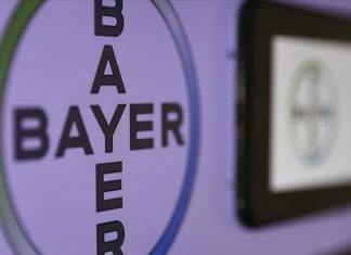 Bayer