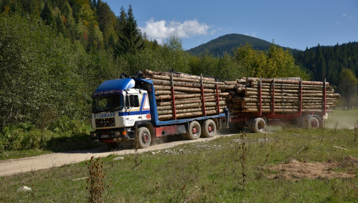 Ekocid I Zastita Prirode Na Balkanu