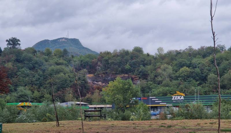 Pušara na Crkvičkom brdu