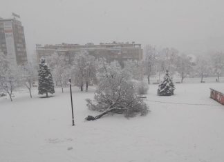 Foto: Harun Aliefendić