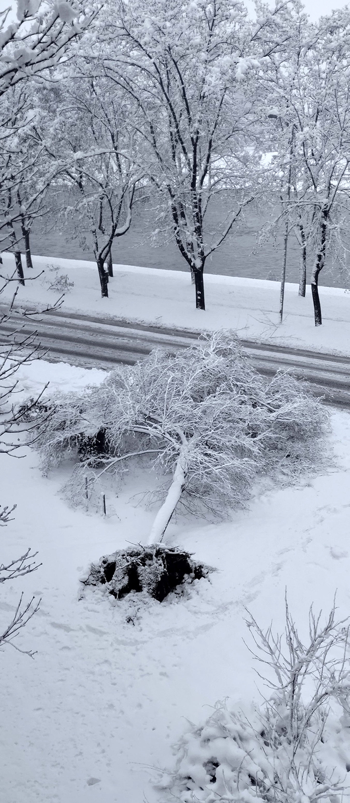 Foto: Darmin Terzić