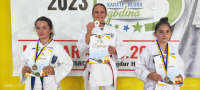 Karate klub "Perfekt" Zenica na turnirima u Vogošći i Mostaru osvojili 20 medalja