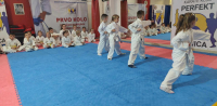 Karate klub "Perfekt" organizovao klupsko polaganje za učenička zvanja